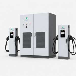 Cargador dividido de CC para veh&iacute;culos el&eacute;ctricos Fortis Nexus